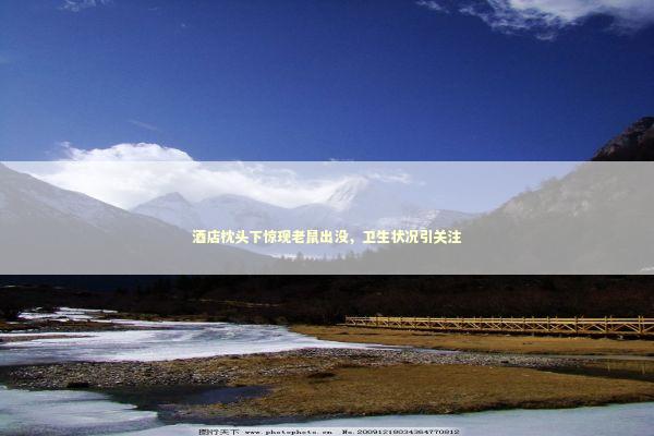 酒店枕头下惊现老鼠出没，卫生状况引关注