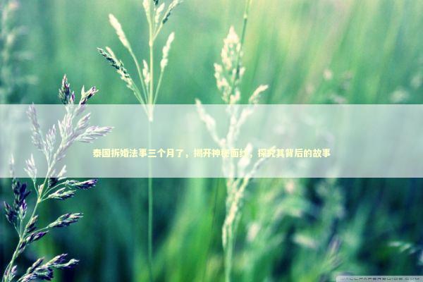 泰国拆婚法事三个月了，揭开神秘面纱，探究其背后的故事