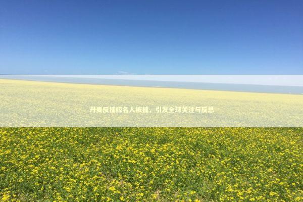 丹麦反捕鲸名人被捕，引发全球关注与反思
