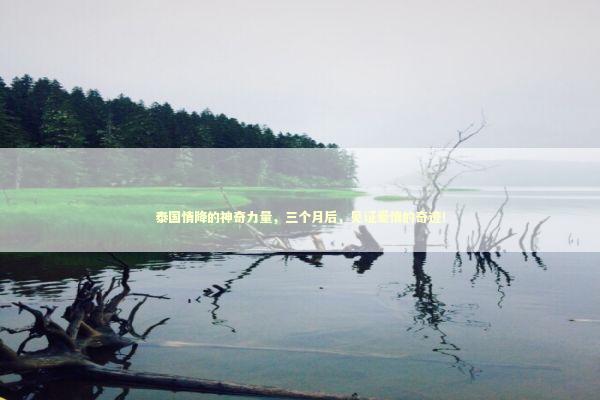 泰国情降的神奇力量，三个月后，见证爱情的奇迹！ 感情姻缘的佛牌有几种