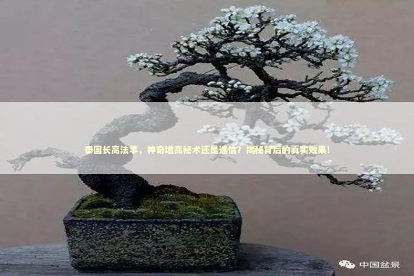 泰国长高法事，神奇增高秘术还是迷信？揭秘背后的真实效果！ 感情姻缘的佛牌有几种