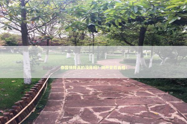 泰国情降真的没用吗？揭开背后真相！ 感情姻缘的佛牌有几种