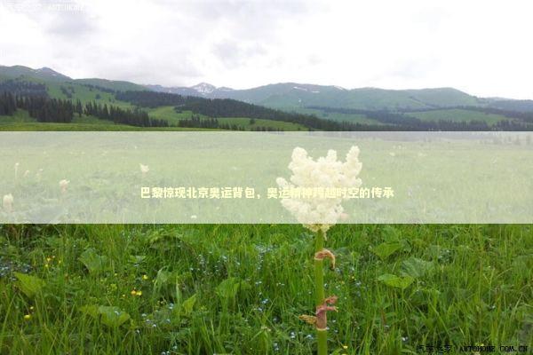 巴黎惊现北京奥运背包，奥运精神跨越时空的传承