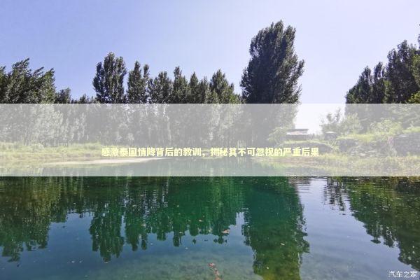 感激泰国情降背后的教训，揭秘其不可忽视的严重后果