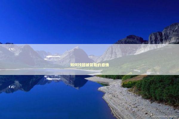 如何找回被背叛的感情