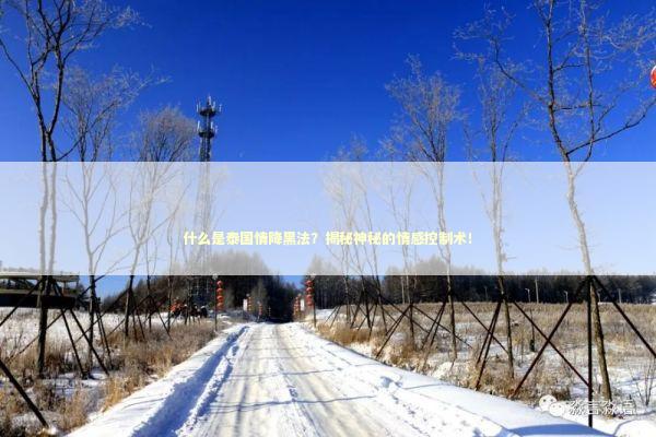 什么是泰国情降黑法？揭秘神秘的情感控制术！
