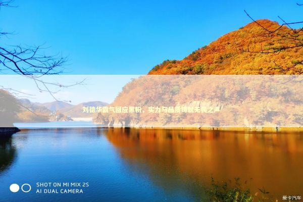 刘德华霸气回应黑粉，实力与品质铸就无畏之声 感情姻缘的佛牌有几种