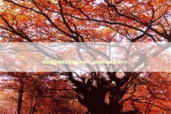 阿赞撒锡情降法事真的存在吗？揭秘神秘情感操控术！