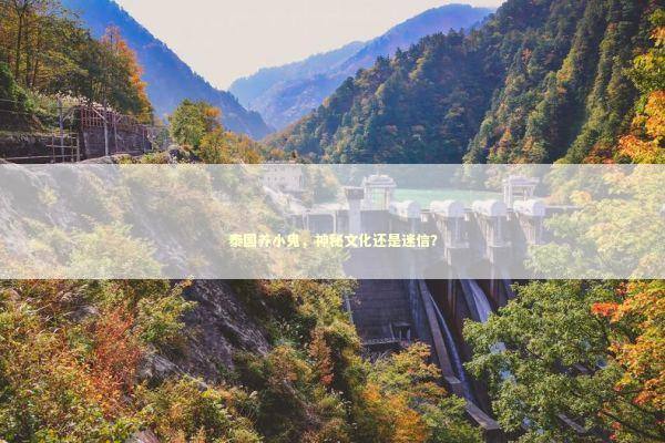 泰国养小鬼,神秘文化还是迷信? 泰国养小鬼,神秘文化还是迷信? 感情姻缘的佛牌有几种