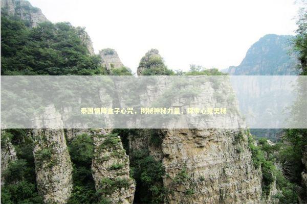 泰国情降盒子心咒，揭秘神秘力量，探索心灵奥秘 泰国情降法事