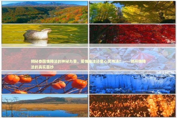 揭秘泰国情降法的神秘力量，爱情魔法还是心灵鸡汤？——揭开情降法的真实面纱 泰国情降法事