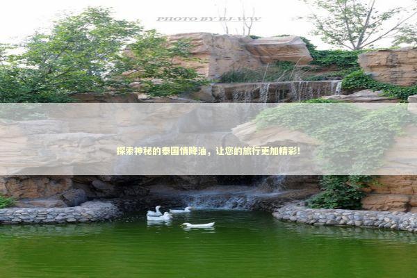 探索神秘的泰国情降油，让您的旅行更加精彩！ 感情姻缘的佛牌有几种
