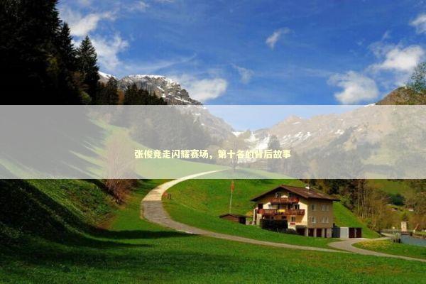 张俊竞走闪耀赛场,第十名的背后故事 张俊竞走闪耀赛场,第十名的背后故事 感情姻缘的佛牌有几种