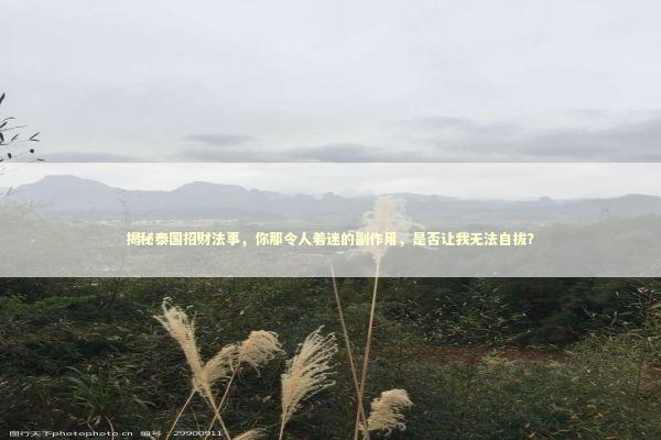 揭秘泰国招财法事,你那令人着迷的副作用,是否让我无法自拔? 揭秘泰国招财法事,你那令人着迷的副作用,是否让我无法自拔? 感情姻缘的佛牌有几种