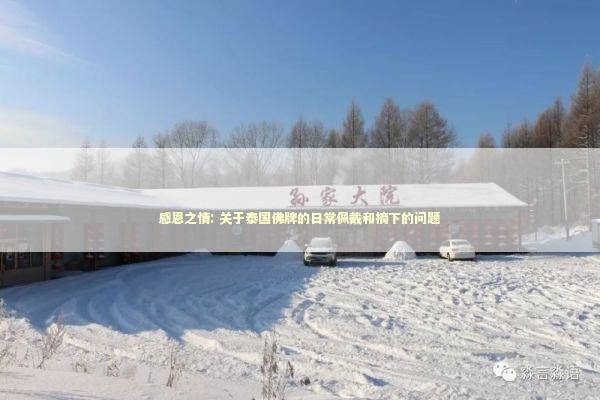 感恩之情: 关于泰国佛牌的日常佩戴和摘下的问题 感情姻缘的佛牌有几种