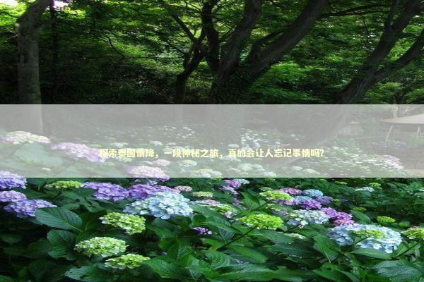 探索泰国情降，一段神秘之旅，真的会让人忘记事情吗？ 泰国情降法事