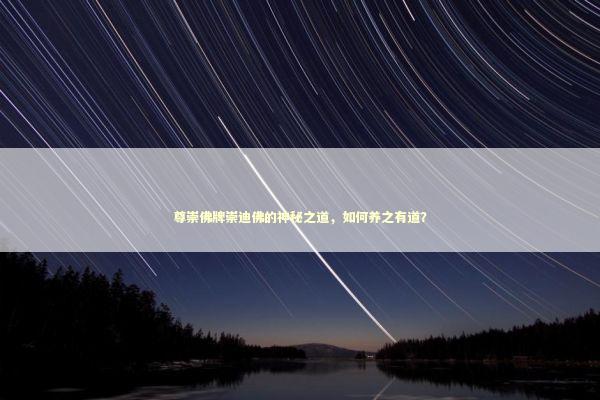 尊崇佛牌崇迪佛的神秘之道,如何养之有道? 尊崇佛牌崇迪佛的神秘之道,如何养之有道? 感情姻缘的佛牌有几种