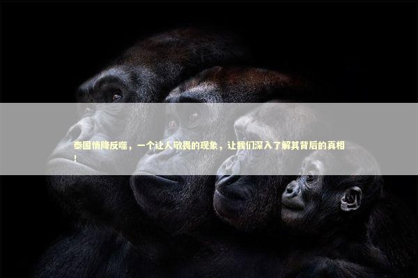 泰国情降反噬，一个让人敬畏的现象，让我们深入了解其背后的真相！