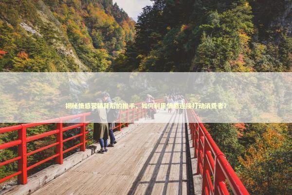 揭秘情感营销背后的推手，如何利用情感连接打动消费者？