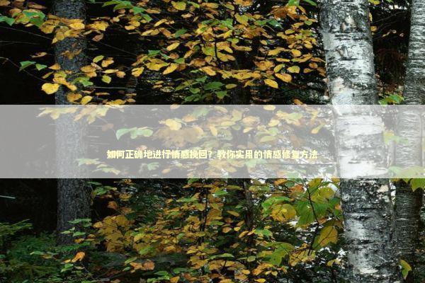 如何正确地进行情感挽回?教你实用的情感修复方法 如何正确地进行情感挽回?教你实用的情感修复方法 感情姻缘的佛牌有几种