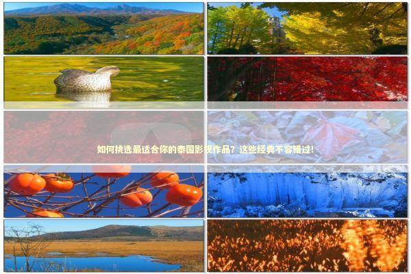 如何挑选最适合你的泰国影视作品？这些经典不容错过！